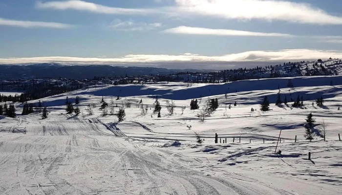 Al Skisenter Instagram - Ål