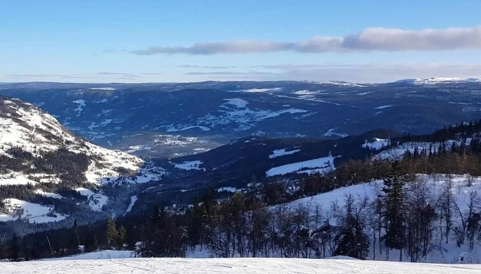 Al Skisenter Telefon - Ål
