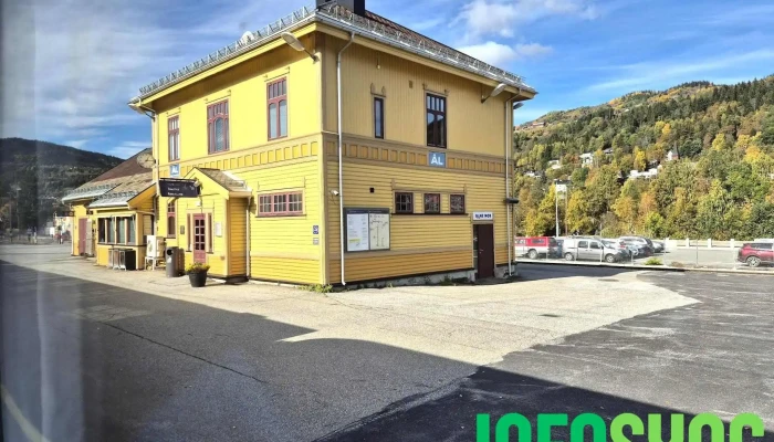 Al Stasjon Alle - Ål