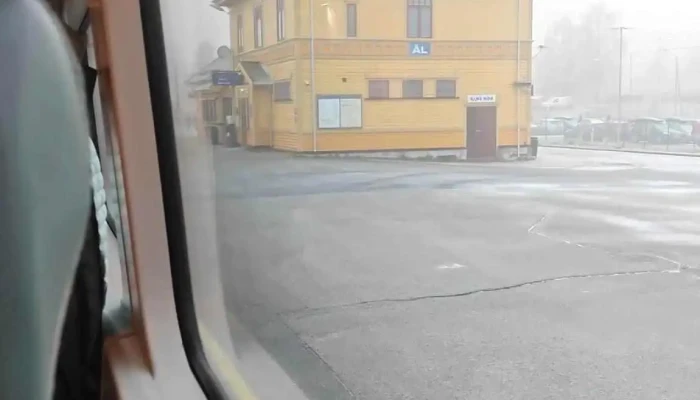 Al Stasjon Videoer - Ål