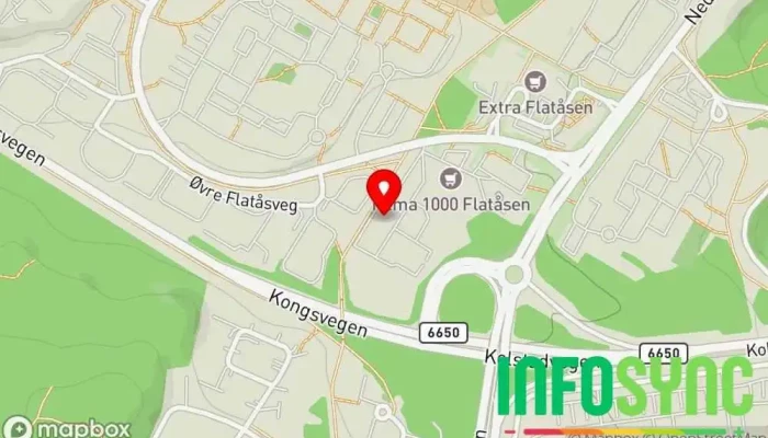 kart over Alpha It AS Regnskapskontor, IT-konsulent i Flatåsen