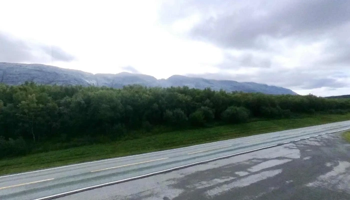Alsta - Norge