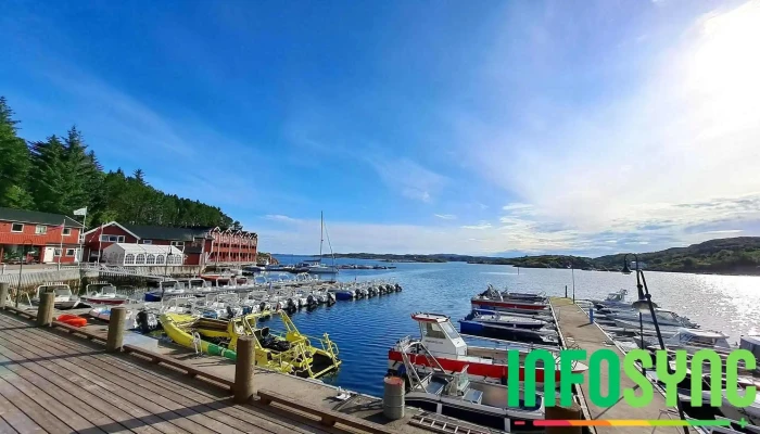 Angelamfi Hitra -  Fra Besokende - Kvenvær