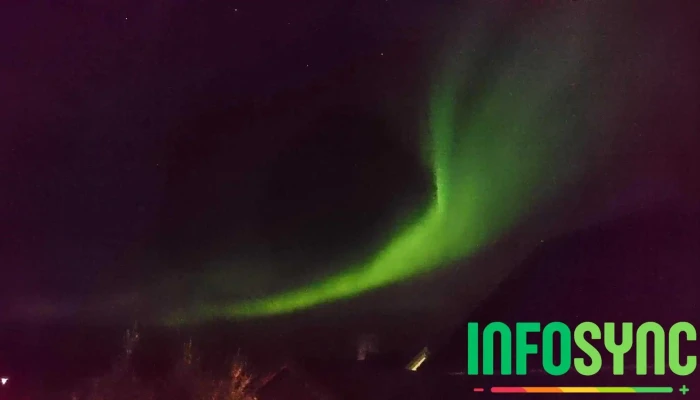 Arctic Support As -  Alle - Kirkenes