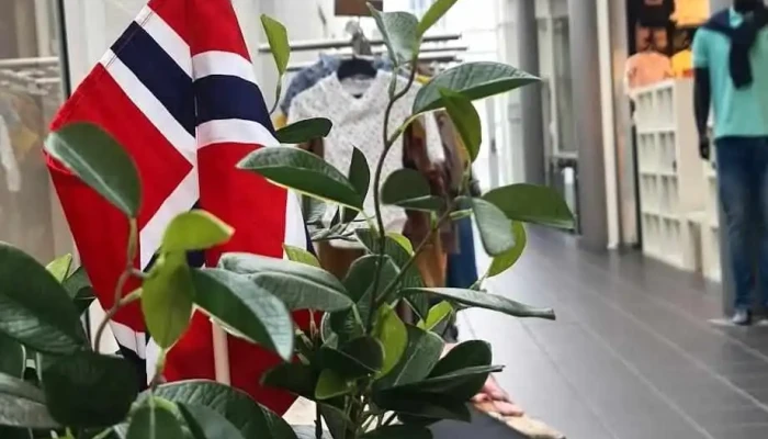 Ardalsenteret Alle - Øvre Årdal