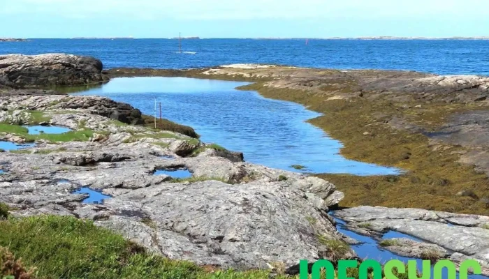 Askevågen Uitkijk - Hustad