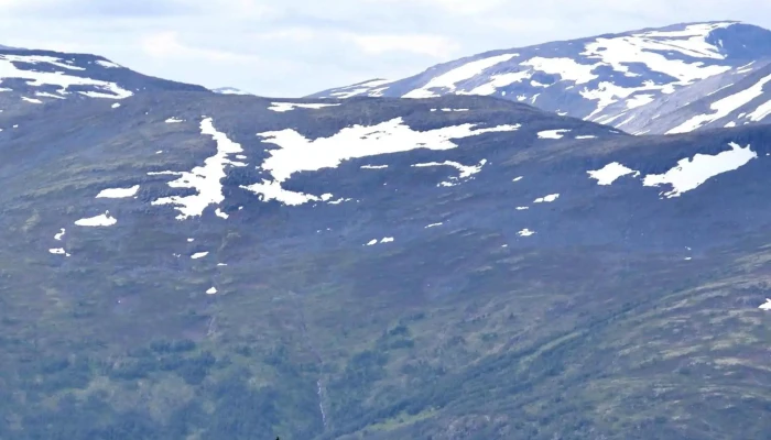 Aurland -  Kampanje - Aurland