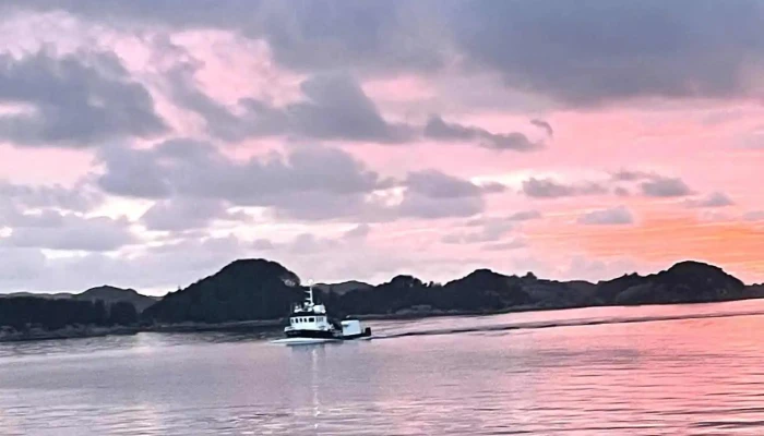 Austevoll Sjotjenester Alle - Torangsvåg