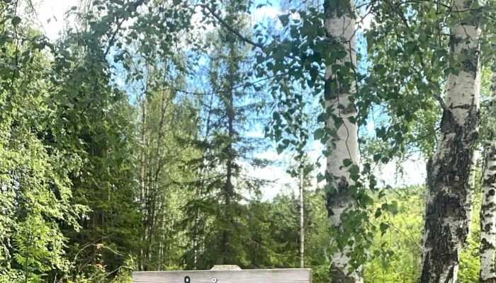 Bangsbergtoppen Adresse - Brumunddal