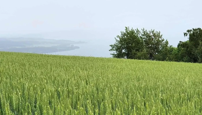 Bergstoppen Gjovik Gjøvik - Gjøvik