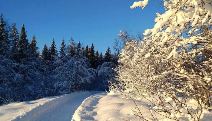 Bergstoppen Gjovik Nær Meg - Gjøvik