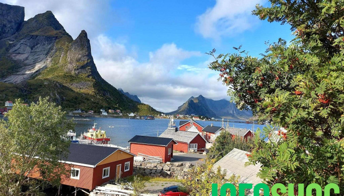 Besøkssentre Lofotodden Nasjonalpark - Reine