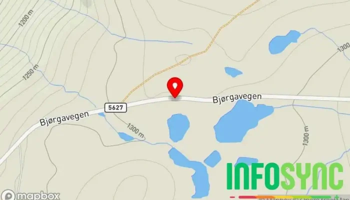kart over Bjørgavegen Utsiktspunkt i Aurland