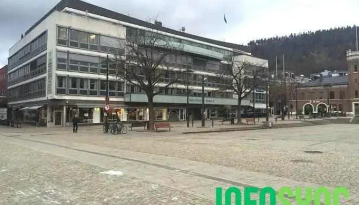 Borge Revisjon As - Drammen