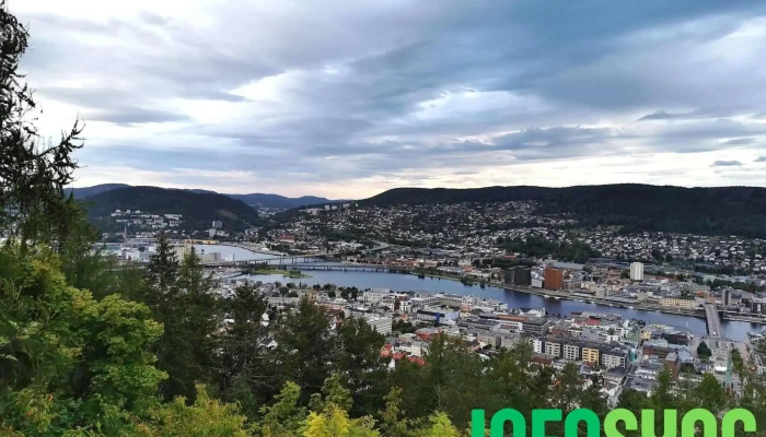 Bragernes Utsikt -  Skog - Drammen