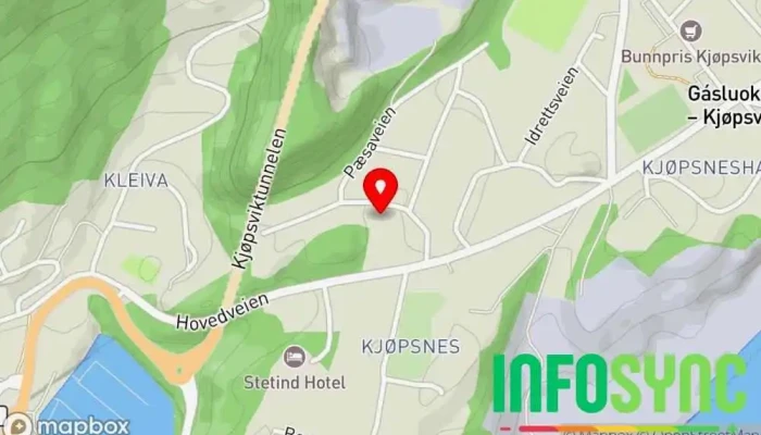 kart over Bygdeservice Kjøpsvik AS Kulturhistorisk bygning i Kjøpsvik