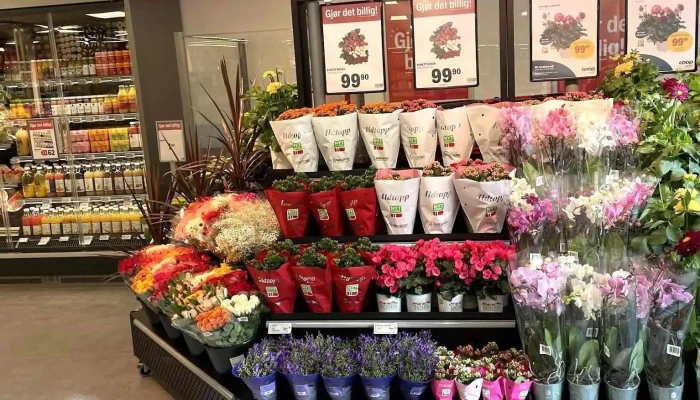 Coop Byggmix Korgen -  Alle - Korgen