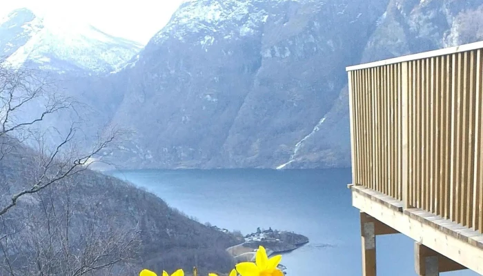 Dagsturhytta Vinjaasenhytta   Aurland Aurland - Aurland