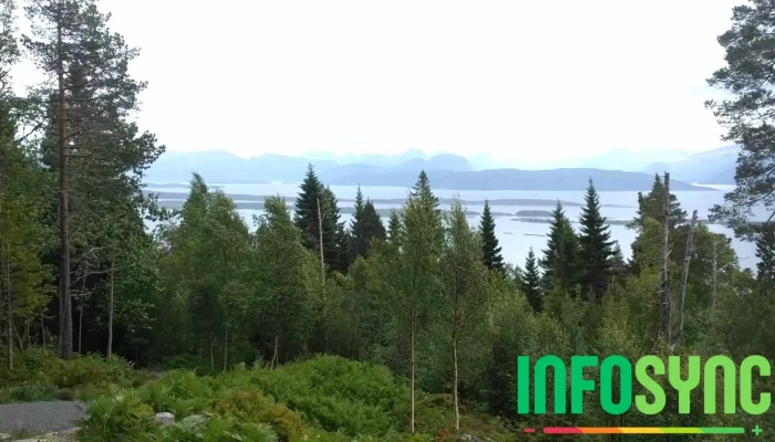 Dnt Storlihytta -  Videoer - Molde