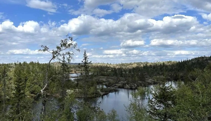 Dnt Tjennhuken - Norge