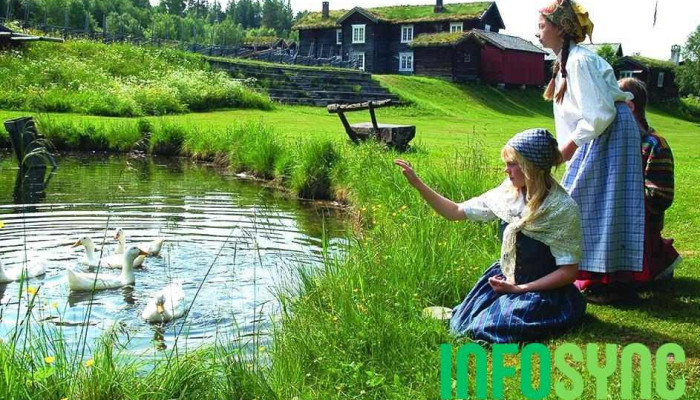 Dolmotunet Fra Eieren - Tolga