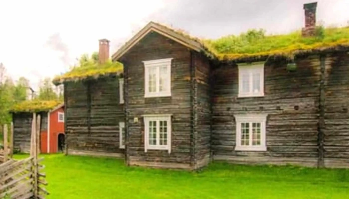Dolmotunet Område - Tolga