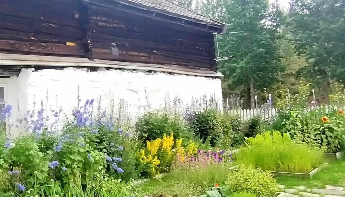 Dolmotunet Poengsum - Tolga