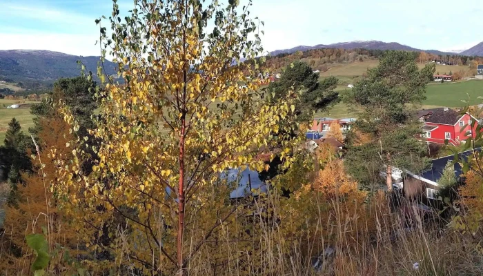Dombas Område - Dombås