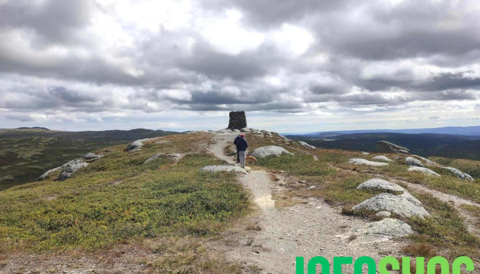 Dordalsknappen Alle - Sør-fron