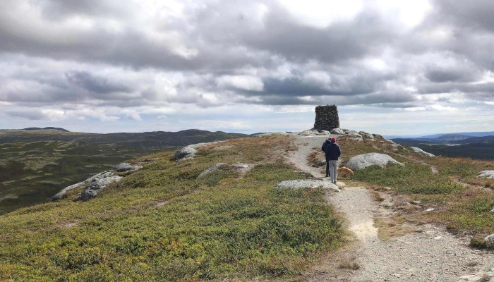 Dordalsknappen Kommentarer - Sør-fron