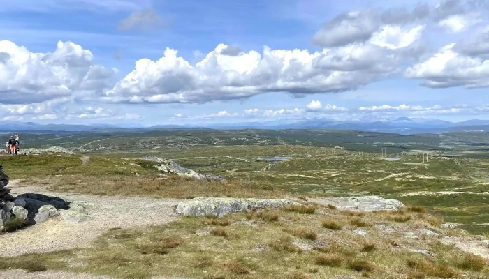 Dordalsknappen Rabatter - Sør-fron