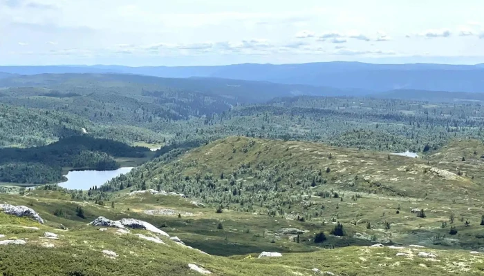 Dordalsknappen Sør Fron - Sør-fron