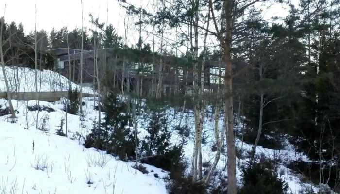 Dorthe Lie - Drammen