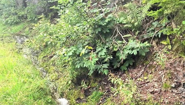 Drafnkollen Utsikt -  Videoer - Drammen