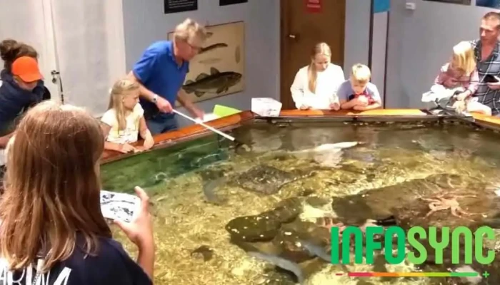 Drobak Akvarium Fra Eieren - Drøbak