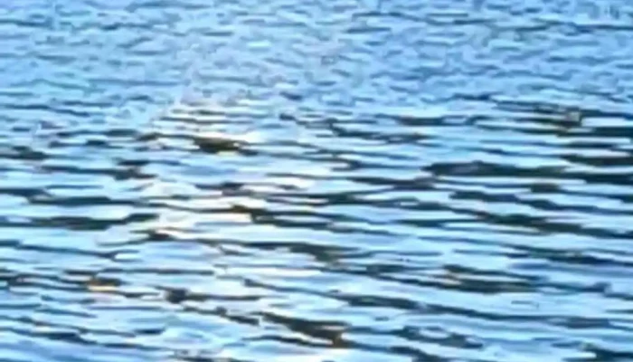 Egersund -  Videoer - Egersund