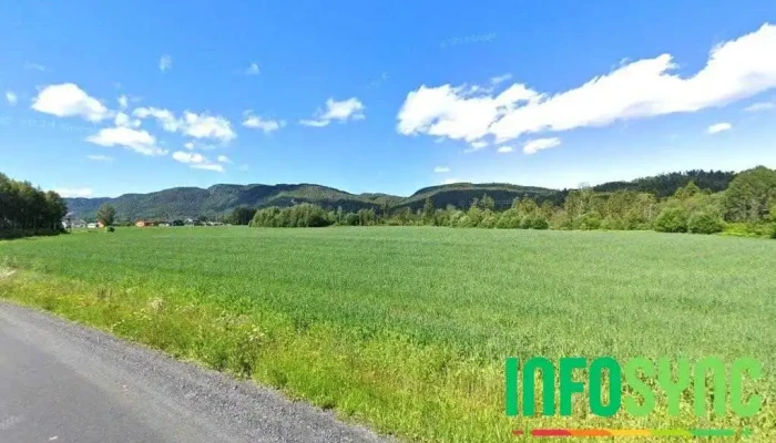Eide PRO-service - Hvittingfoss