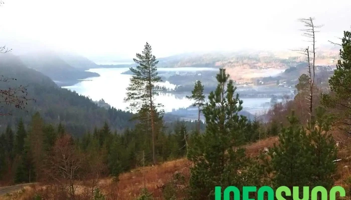 Engesetdal-Skodje Skyttarlag - Skodje