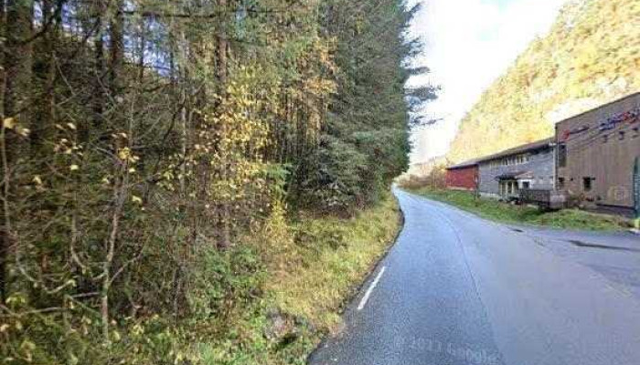 Eple P -  Alle - Lonevåg