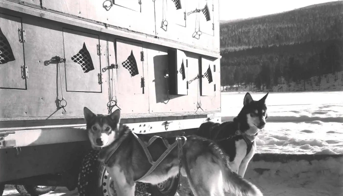 Fagerlund Husky -    Sledding Geilo Poengsum - Geilo