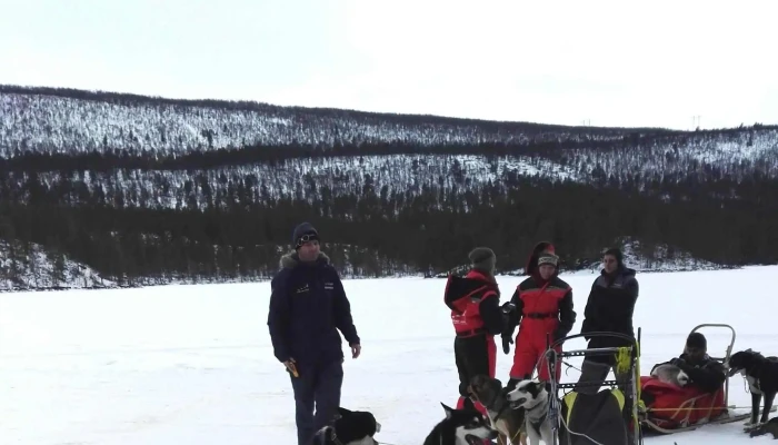 Fagerlund Husky -    Sledding Geilo Timeplan - Geilo