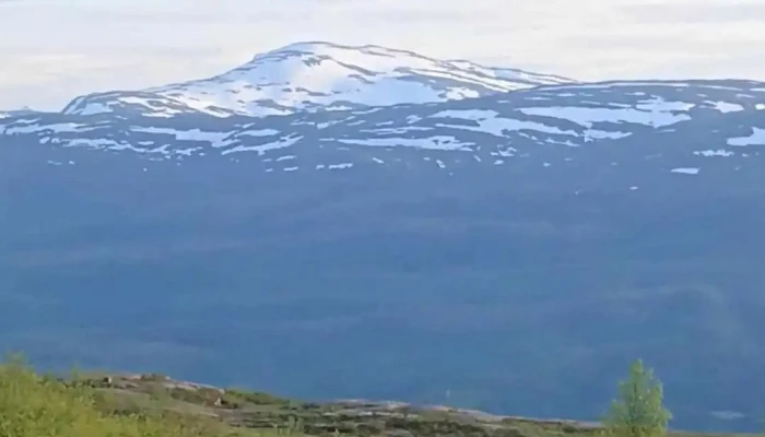 Fellingforstuva - Trofors