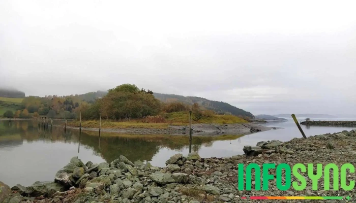 Fiborgtangen -  Strand - Skogn