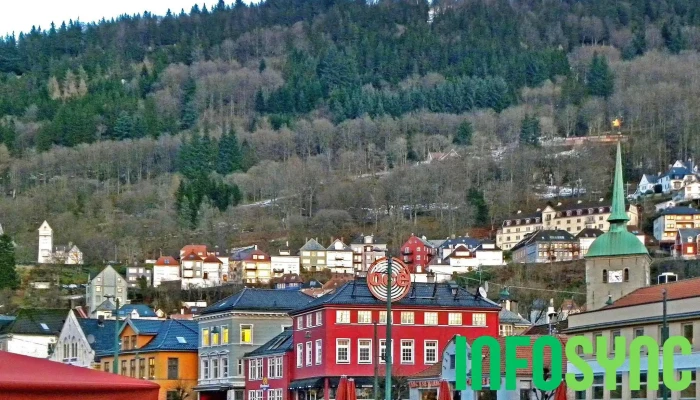 Fjellet Nord -  Alle - Bergen