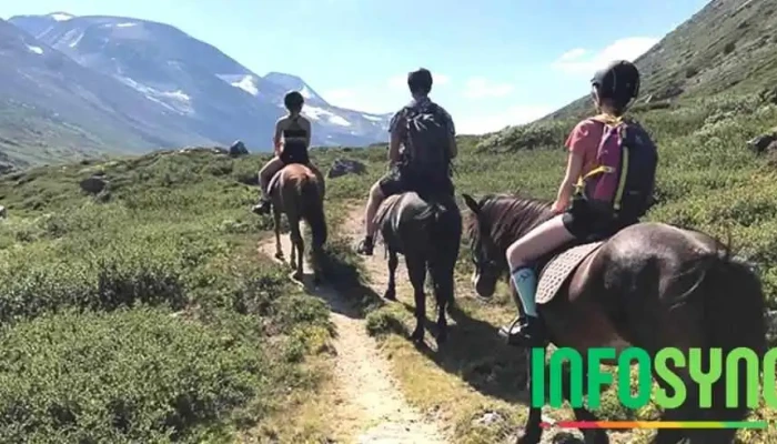 Fjelleventyret -  Alle - Skjåk