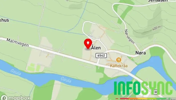 Fjellstyrene i Holtålen Sa - Ålen