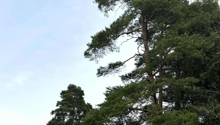 Foldvik Familiepark - Stavern