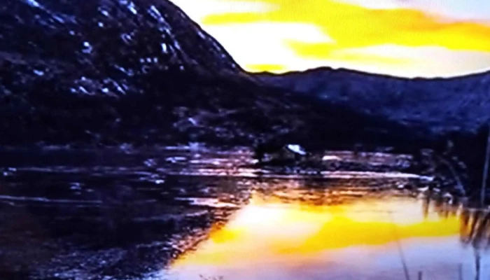 Gaularfjellet -  Priser - Viksdalen