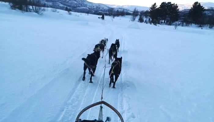 Geilo Husky As -  Katalog - Geilo