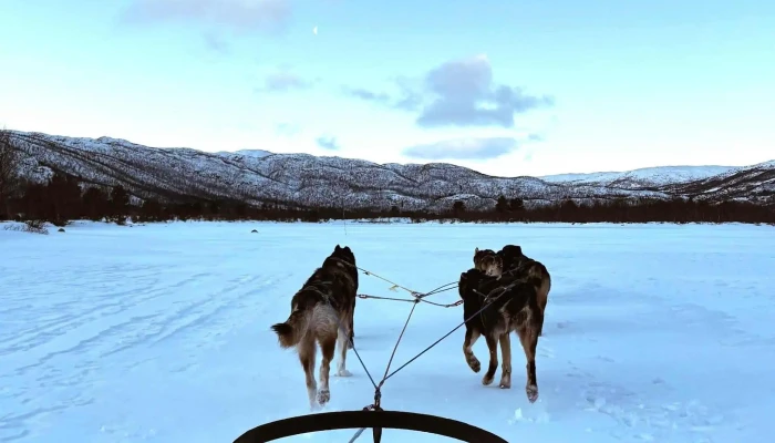 Geilo Husky As -  Område - Geilo